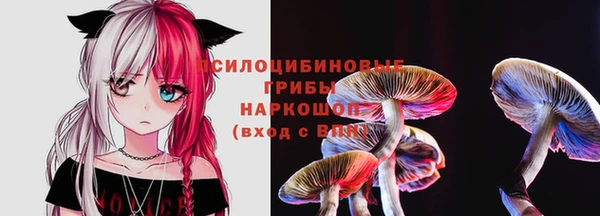 apvp Кохма