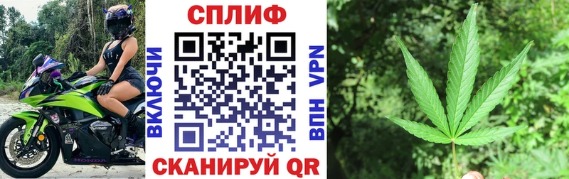 где купить наркотик  Сретенск  KRAKEN зеркало  МАРИХУАНА сатива 